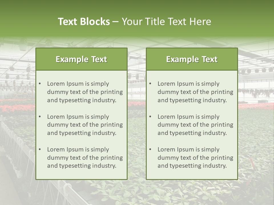 Flowers In Greenhouse PowerPoint Template