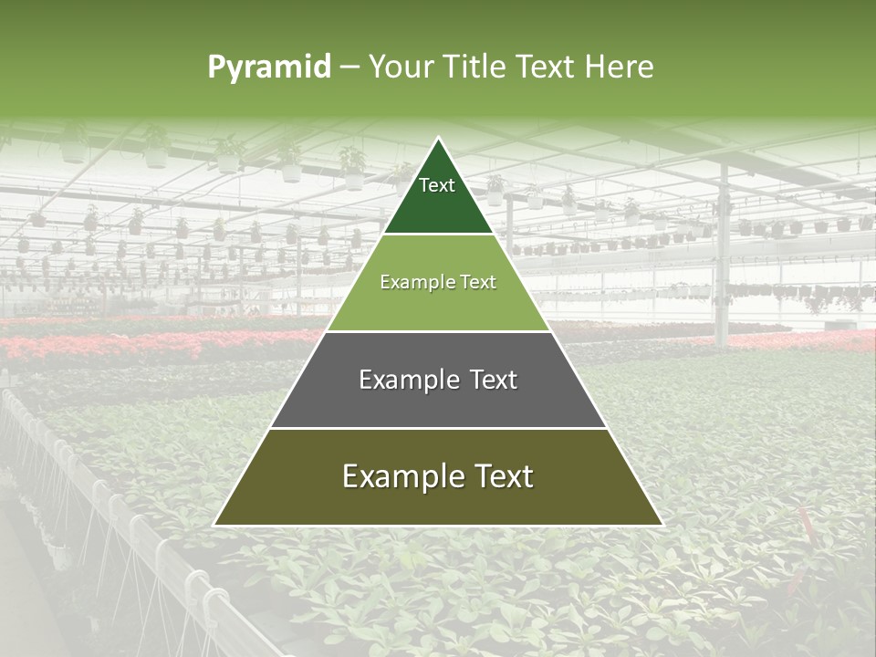 Flowers In Greenhouse PowerPoint Template