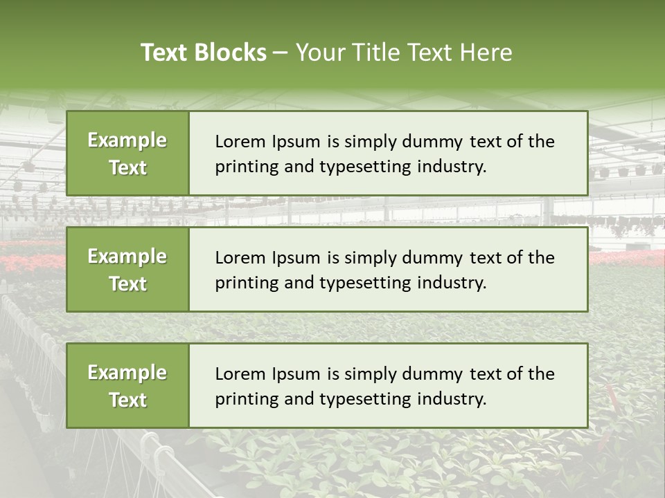 Flowers In Greenhouse PowerPoint Template