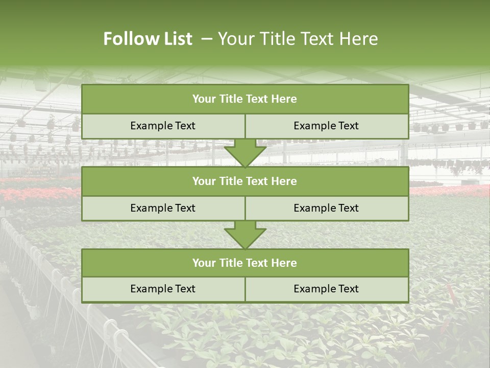 Flowers In Greenhouse PowerPoint Template