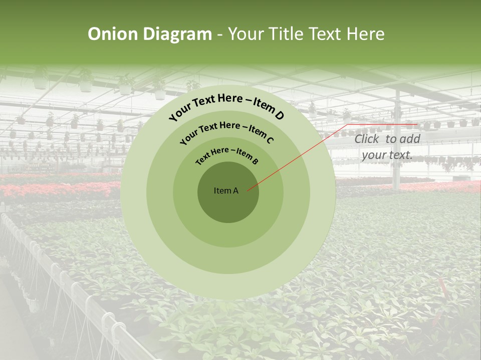 Flowers In Greenhouse PowerPoint Template