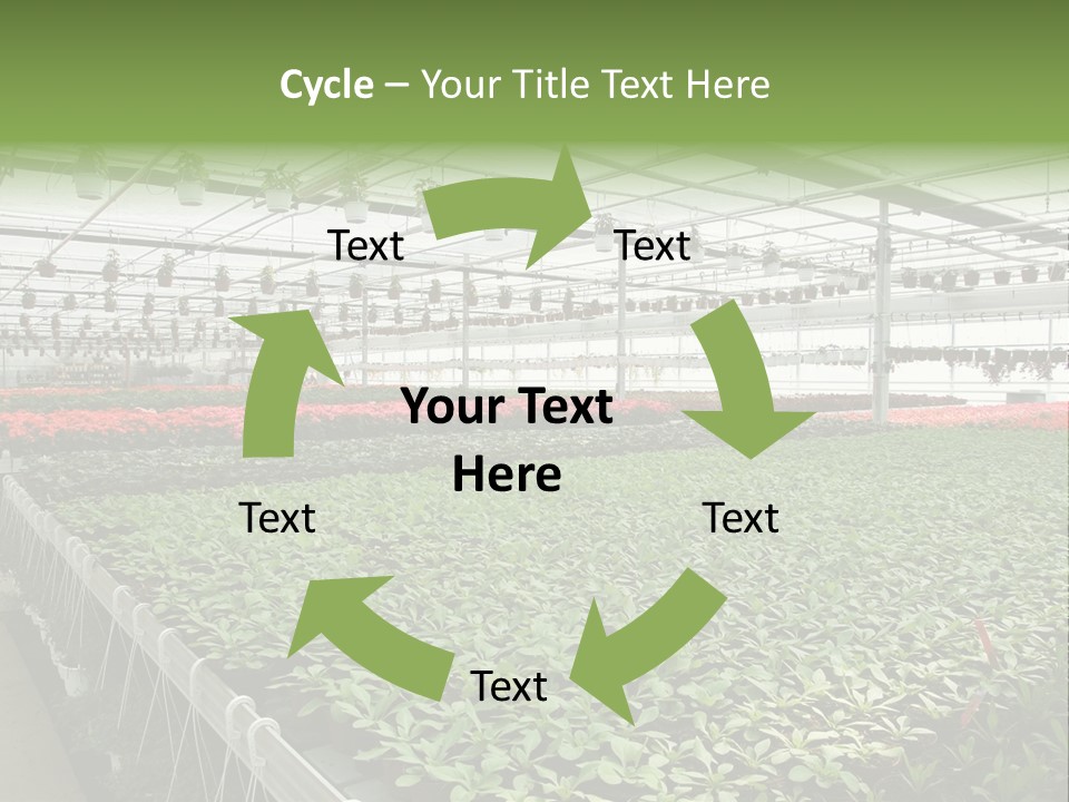 Flowers In Greenhouse PowerPoint Template