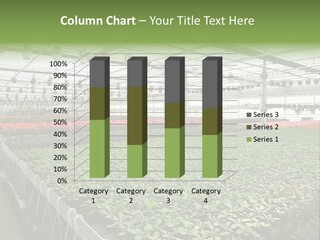 Flowers In Greenhouse PowerPoint Template