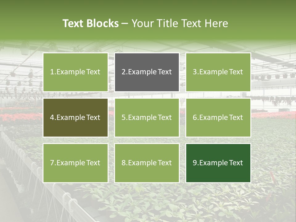 Flowers In Greenhouse PowerPoint Template