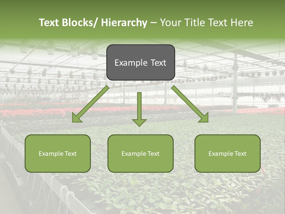 Flowers In Greenhouse PowerPoint Template