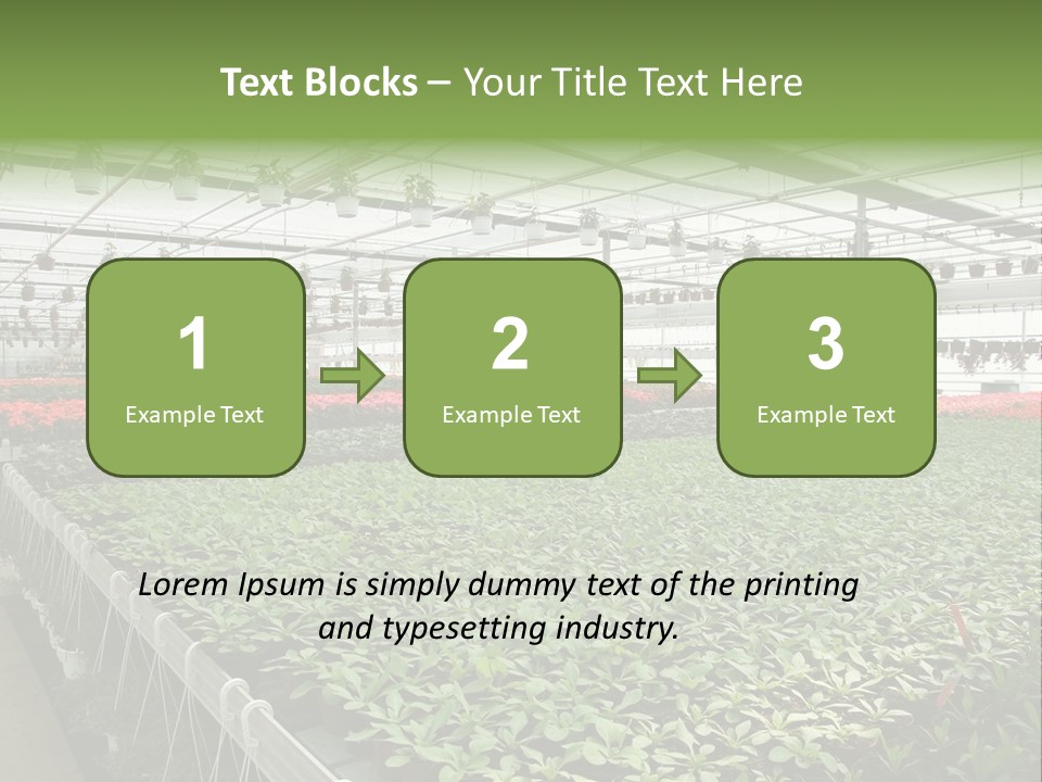 Flowers In Greenhouse PowerPoint Template