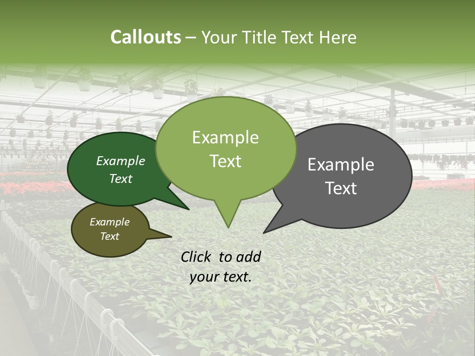 Flowers In Greenhouse PowerPoint Template