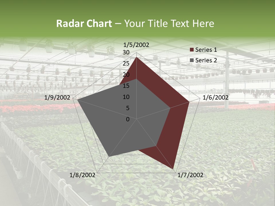 Flowers In Greenhouse PowerPoint Template