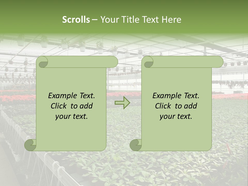 Flowers In Greenhouse PowerPoint Template