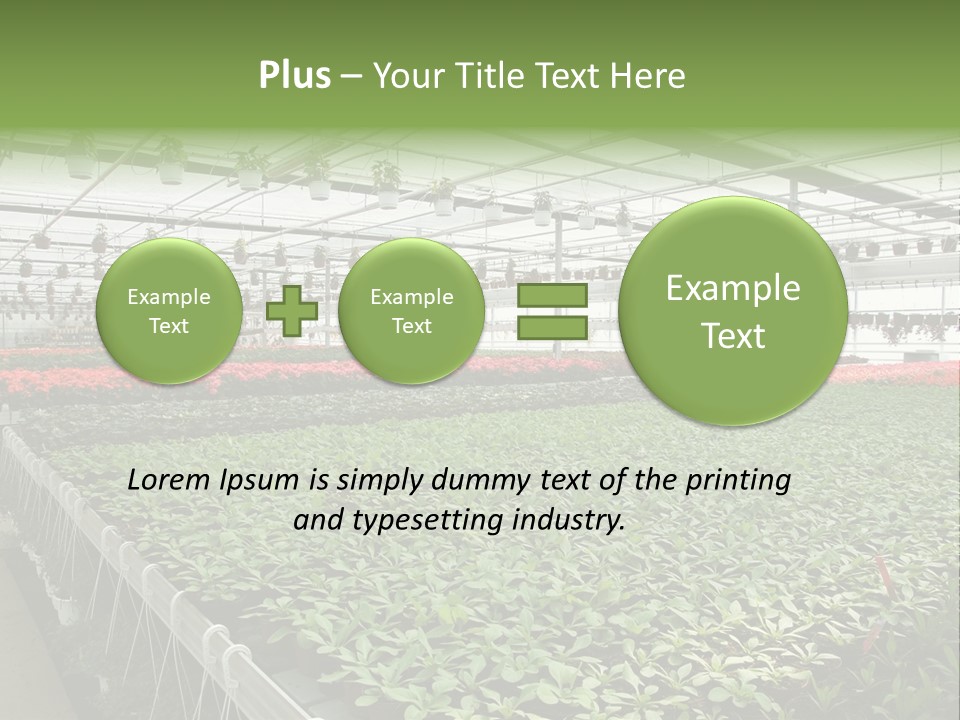 Flowers In Greenhouse PowerPoint Template