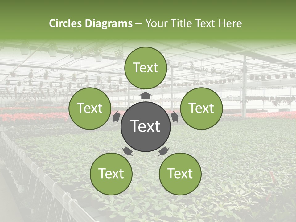 Flowers In Greenhouse PowerPoint Template