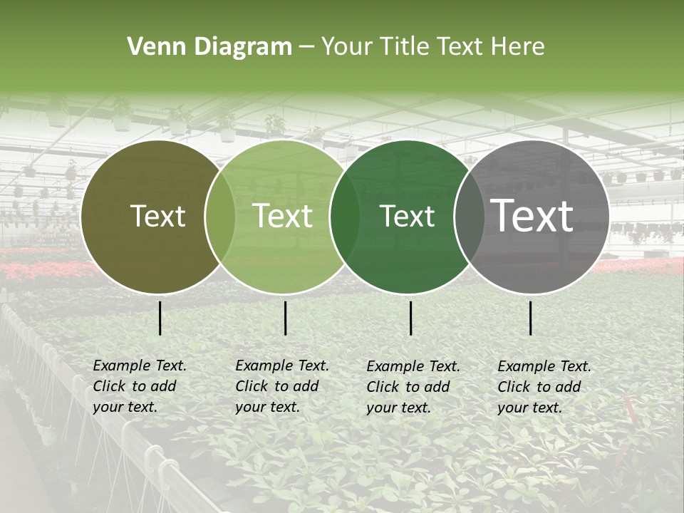 Flowers In Greenhouse PowerPoint Template