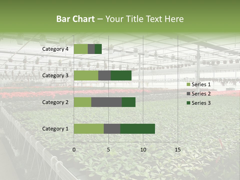Flowers In Greenhouse PowerPoint Template