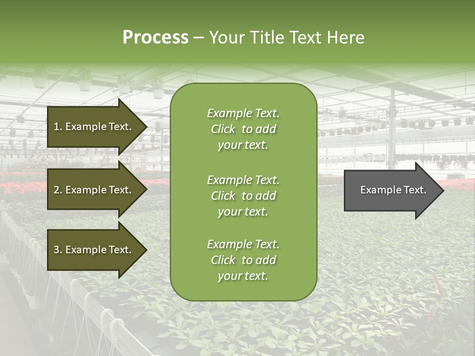 Flowers In Greenhouse PowerPoint Template
