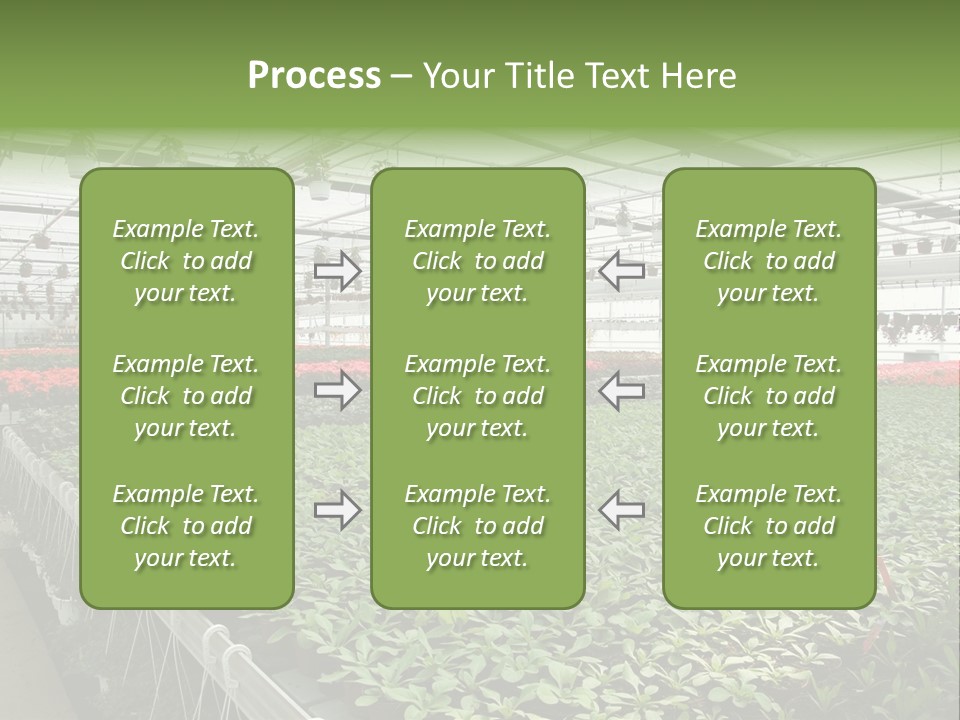 Flowers In Greenhouse PowerPoint Template