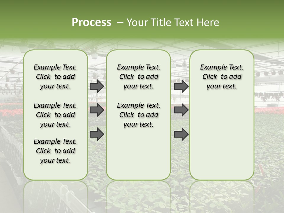 Flowers In Greenhouse PowerPoint Template