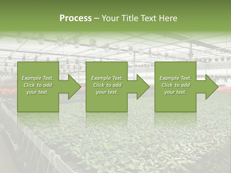 Flowers In Greenhouse PowerPoint Template