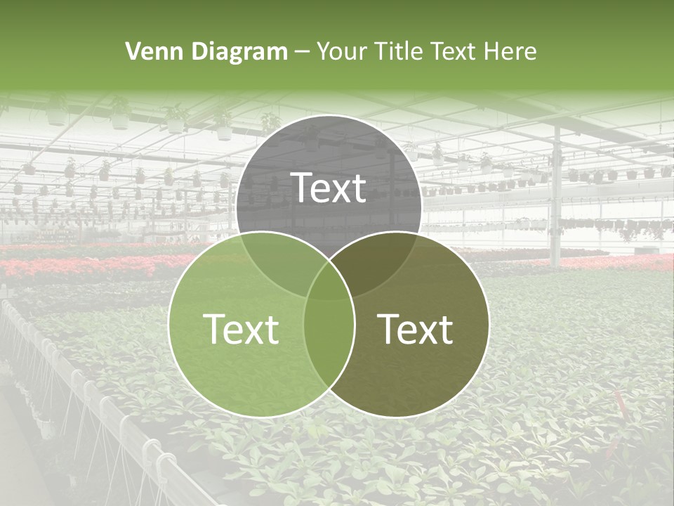 Flowers In Greenhouse PowerPoint Template