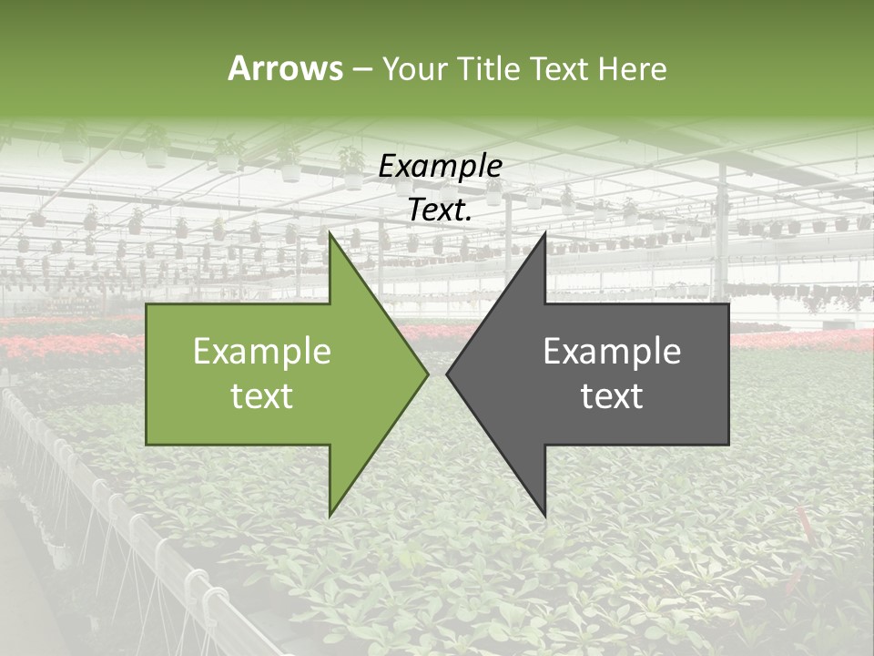 Flowers In Greenhouse PowerPoint Template
