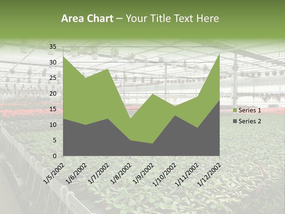 Flowers In Greenhouse PowerPoint Template