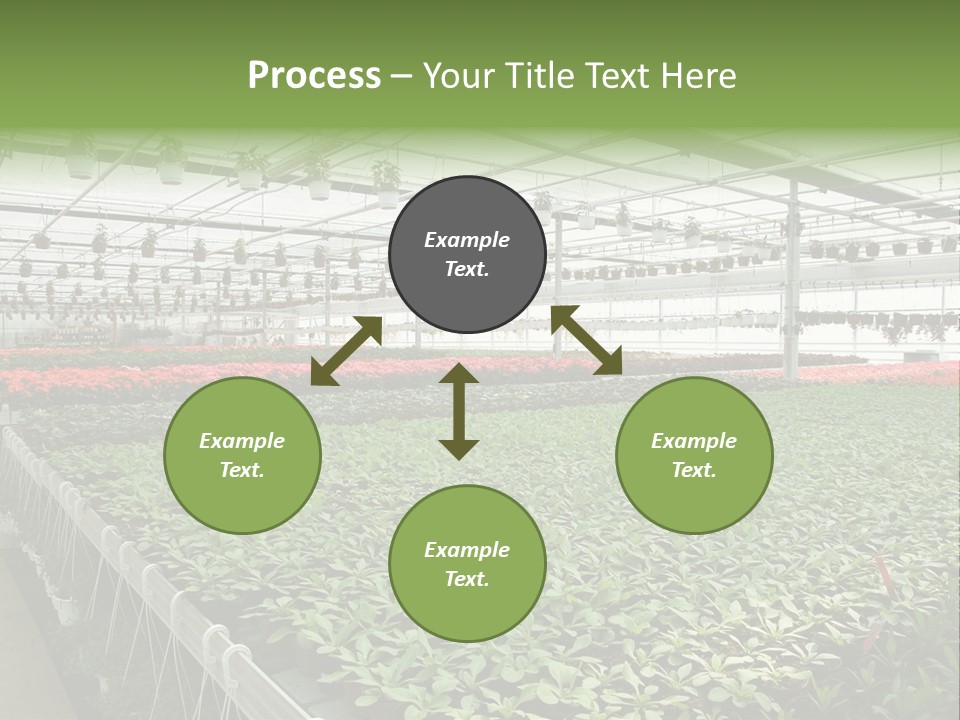 Flowers In Greenhouse PowerPoint Template