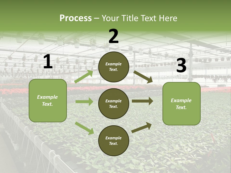 Flowers In Greenhouse PowerPoint Template