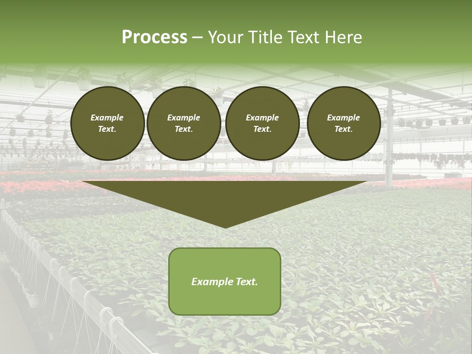 Flowers In Greenhouse PowerPoint Template