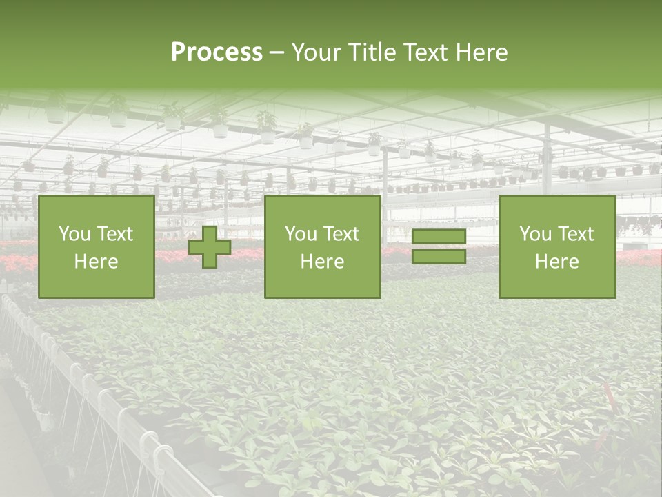 Flowers In Greenhouse PowerPoint Template