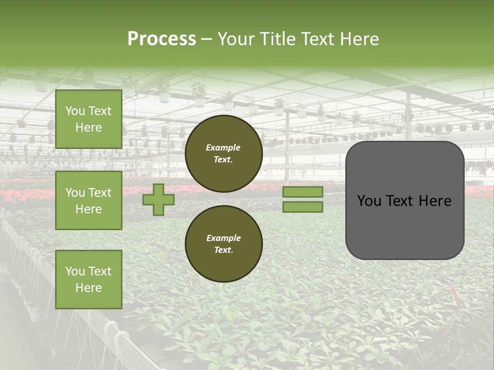 Flowers In Greenhouse PowerPoint Template