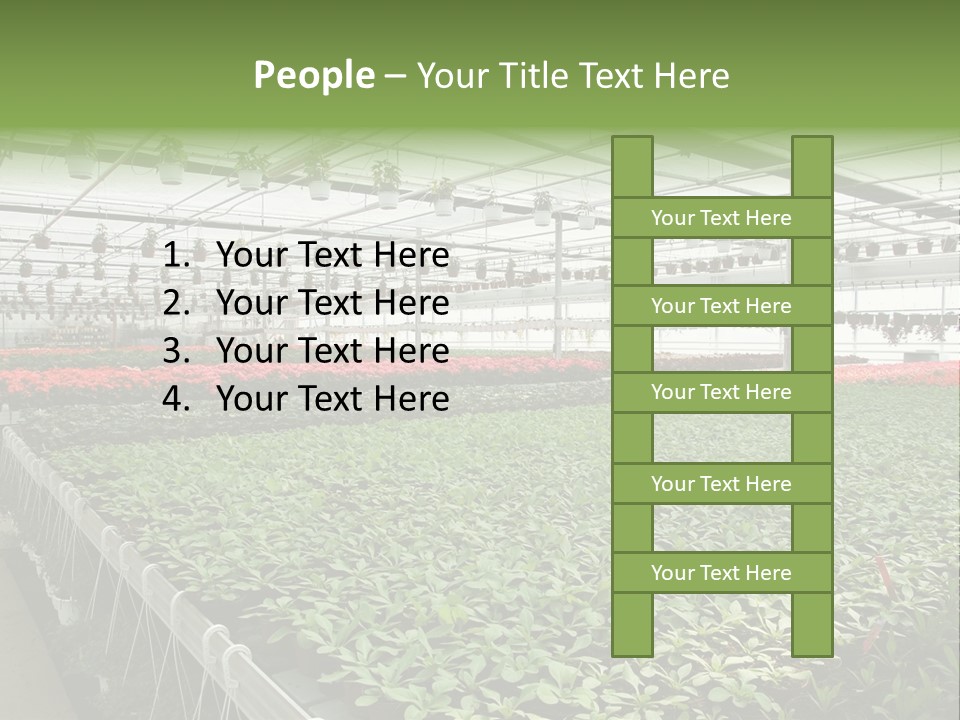 Flowers In Greenhouse PowerPoint Template