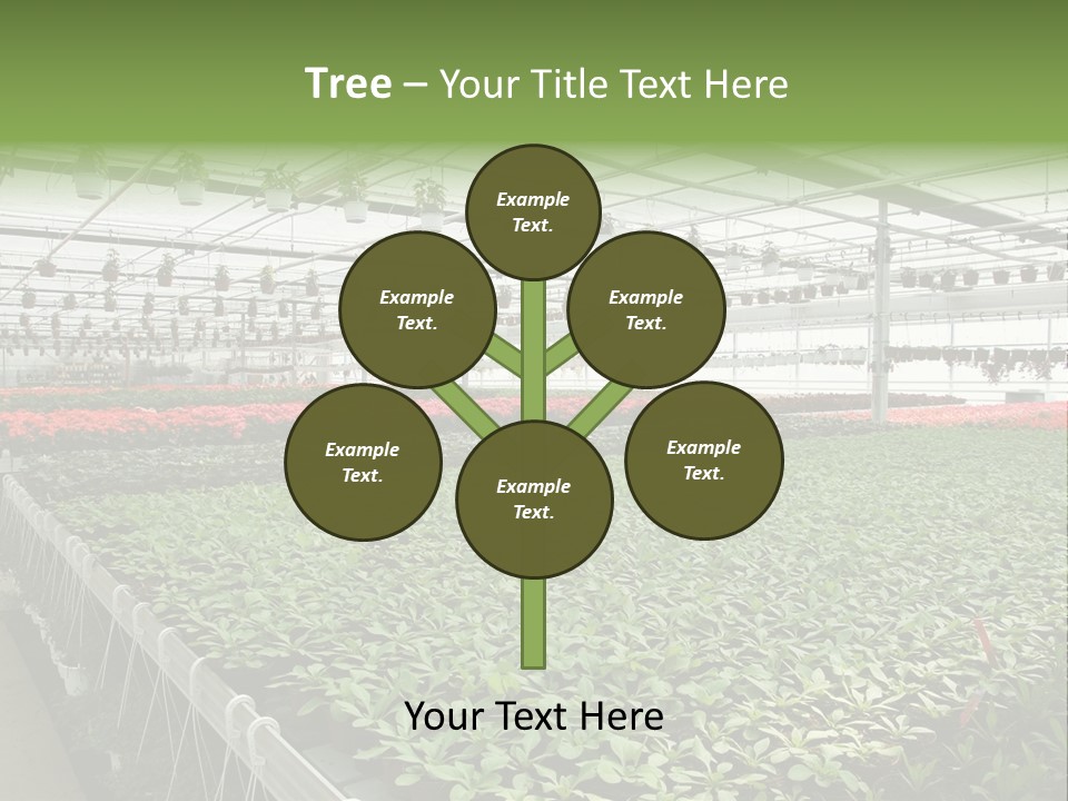 Flowers In Greenhouse PowerPoint Template