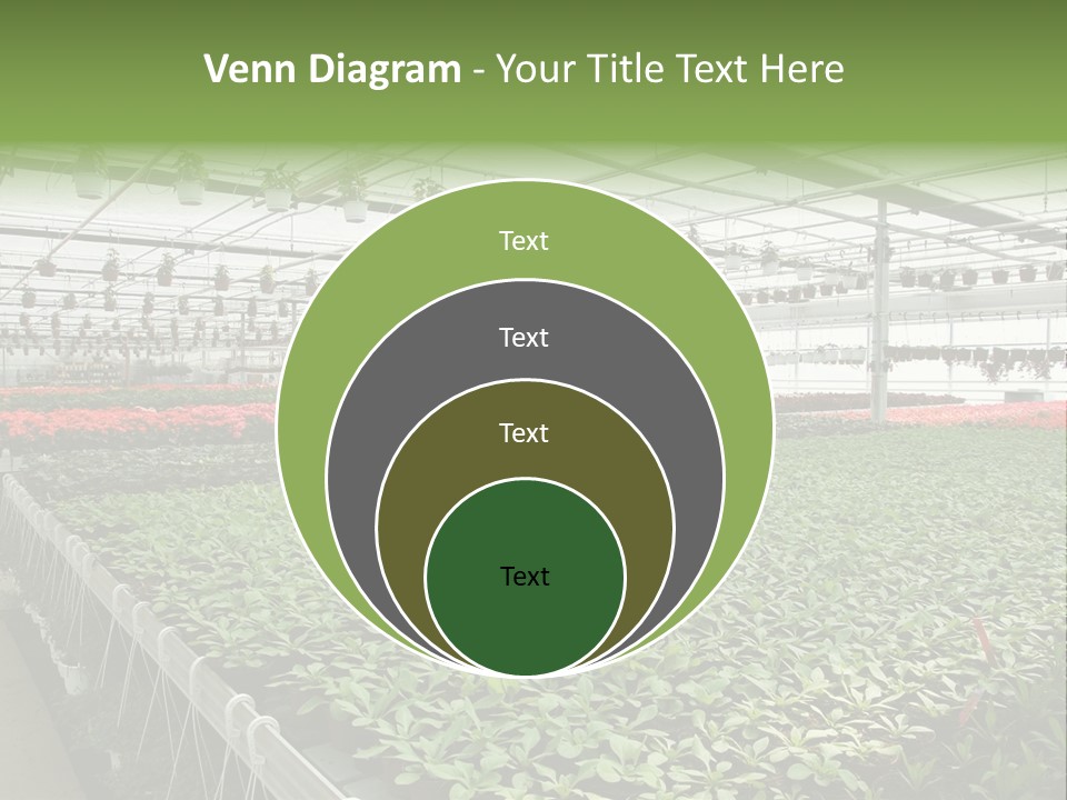 Flowers In Greenhouse PowerPoint Template