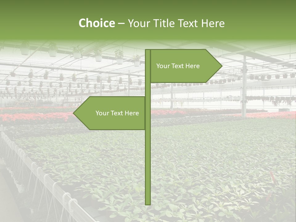 Flowers In Greenhouse PowerPoint Template