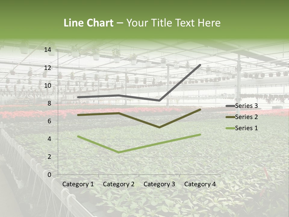 Flowers In Greenhouse PowerPoint Template