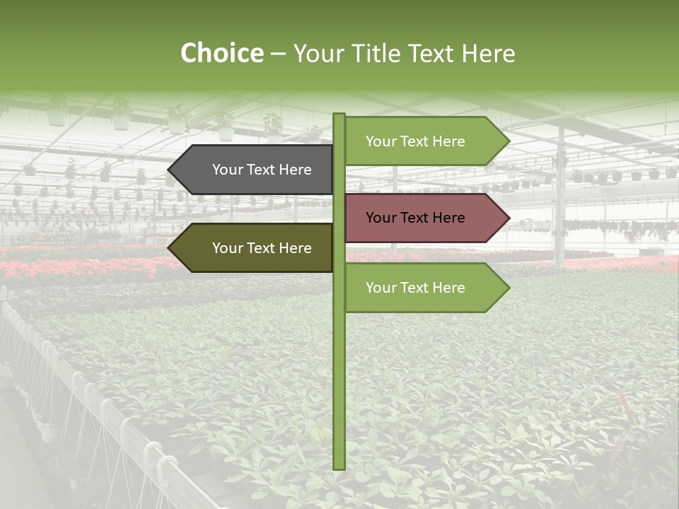 Flowers In Greenhouse PowerPoint Template