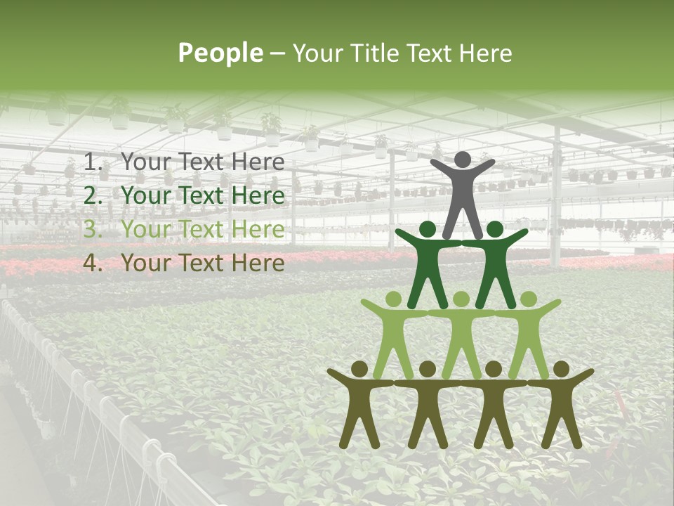 Flowers In Greenhouse PowerPoint Template
