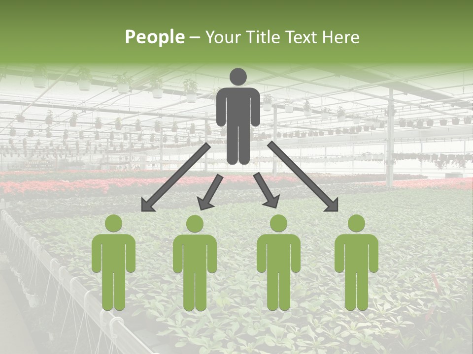Flowers In Greenhouse PowerPoint Template