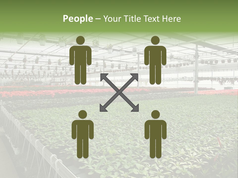 Flowers In Greenhouse PowerPoint Template