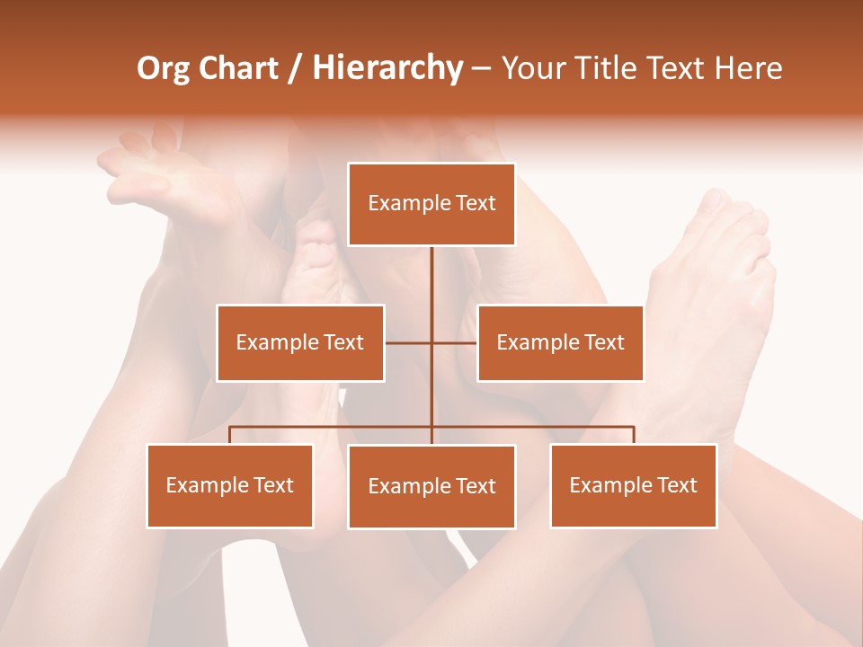 Well-Groomed Bared A Foot Of Female Feet, Isolated On A White Background, Please See Some Of My Other Parts Of A Images PowerPoint Template