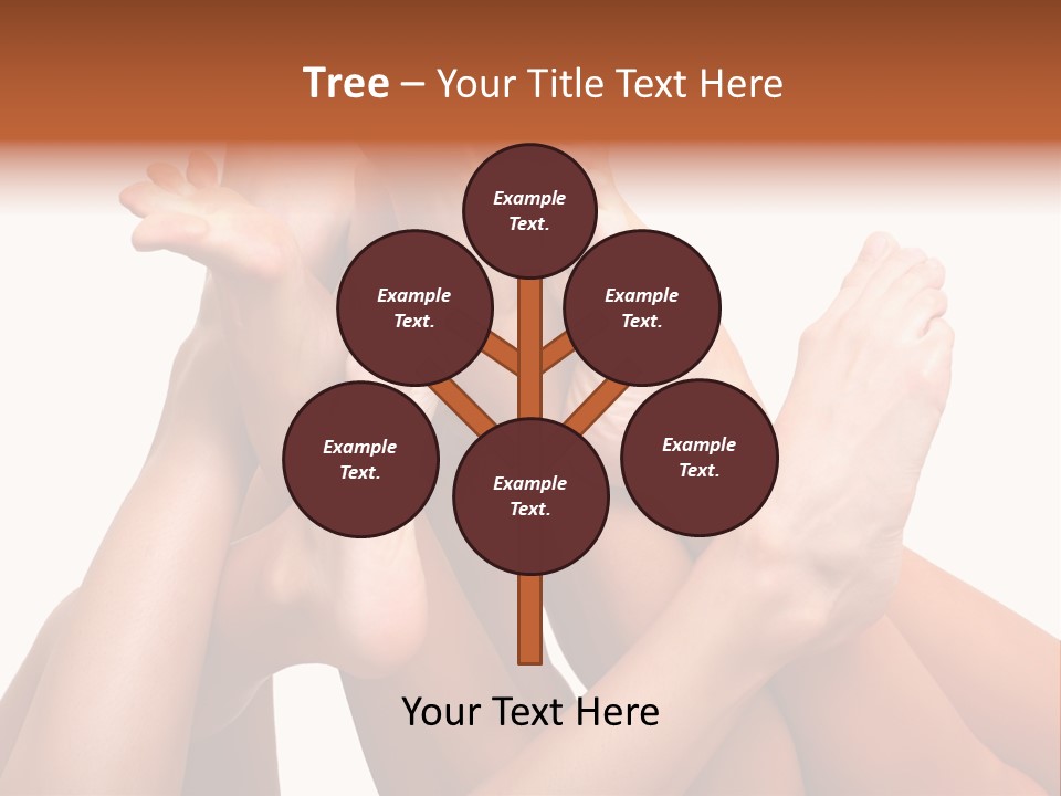 Well-Groomed Bared A Foot Of Female Feet, Isolated On A White Background, Please See Some Of My Other Parts Of A Images PowerPoint Template