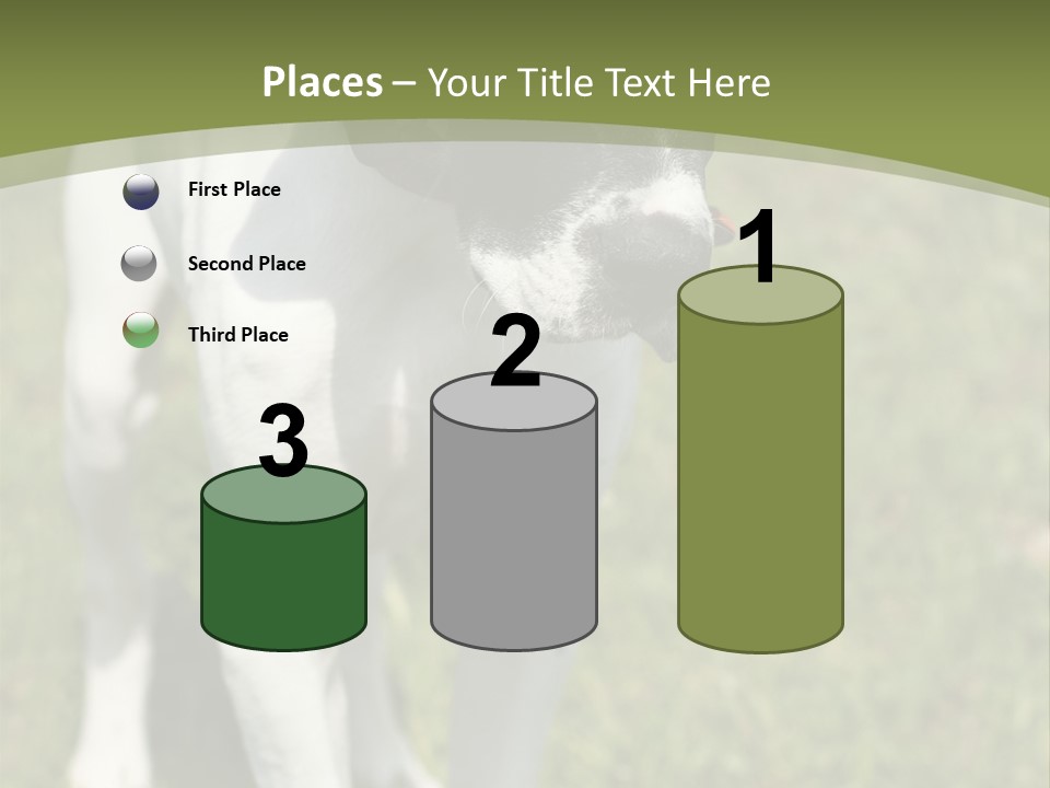 Puppy Of Pointer (Hunter Dog) With Funny Look PowerPoint Template