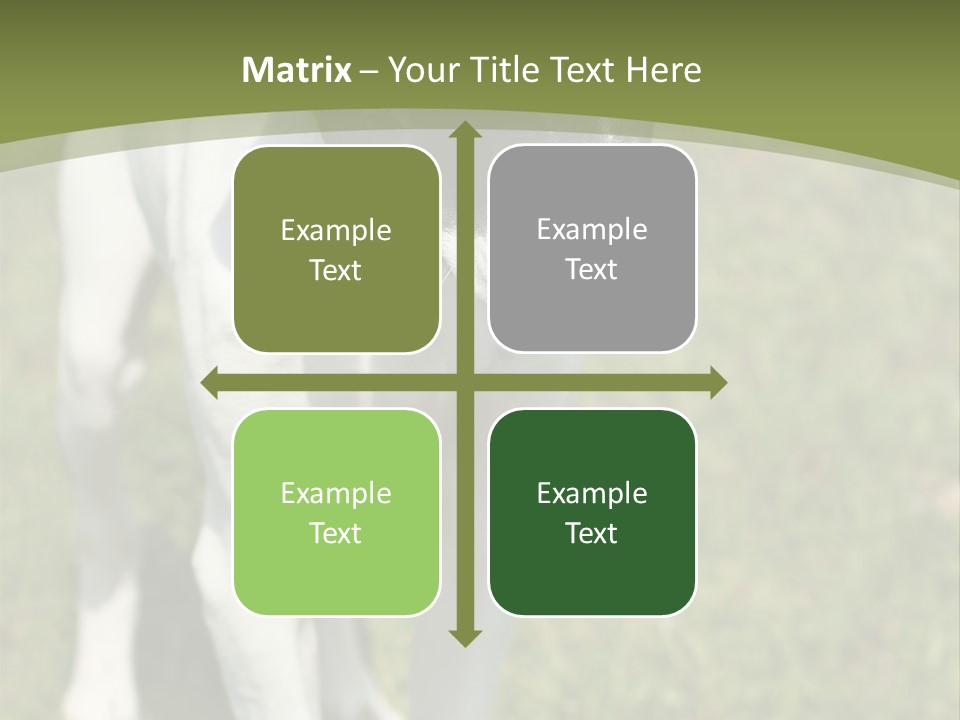 Puppy Of Pointer (Hunter Dog) With Funny Look PowerPoint Template