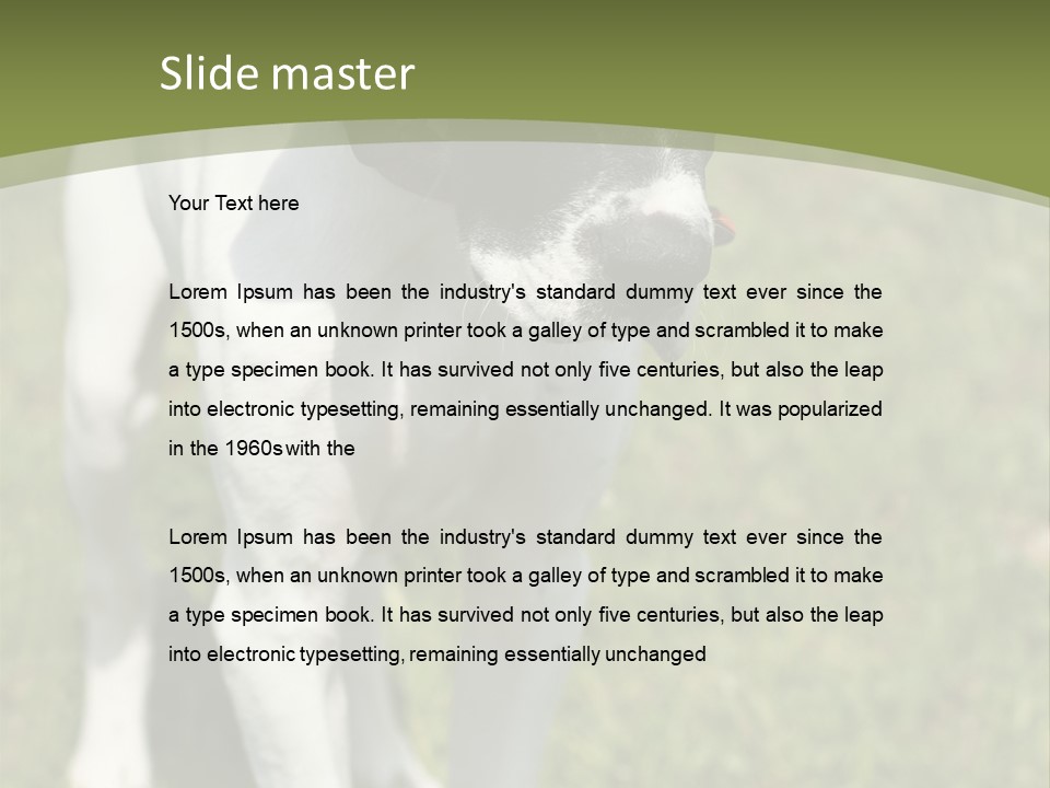 Puppy Of Pointer (Hunter Dog) With Funny Look PowerPoint Template