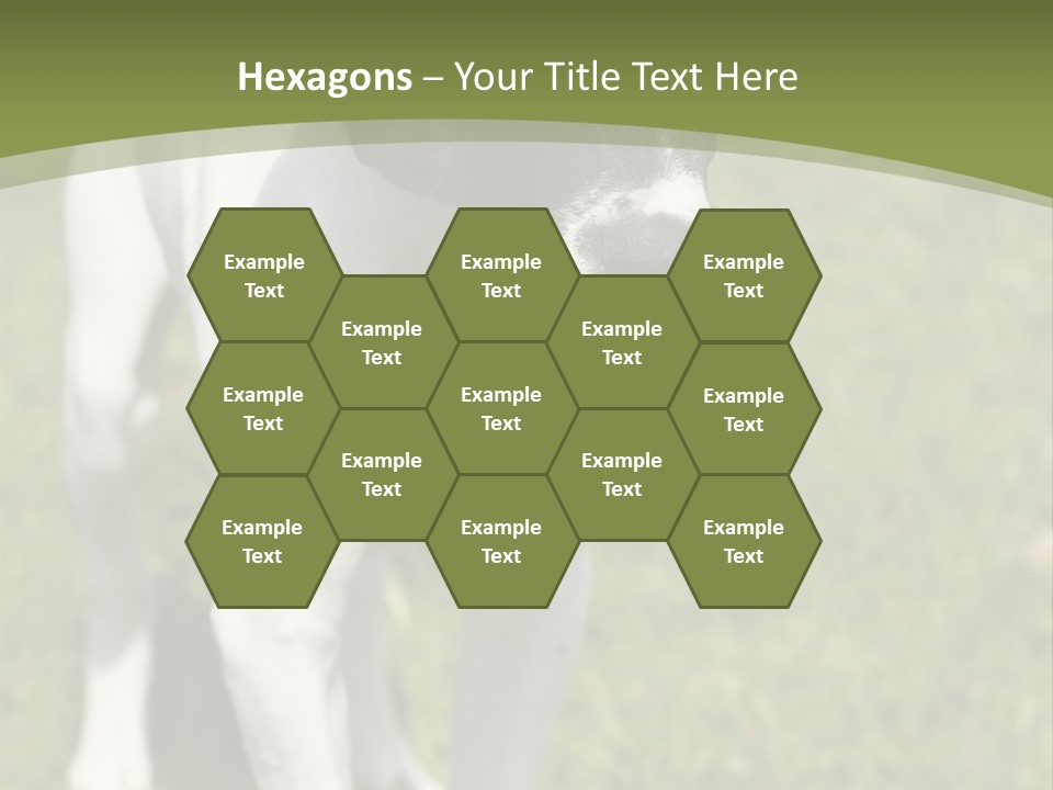 Puppy Of Pointer (Hunter Dog) With Funny Look PowerPoint Template