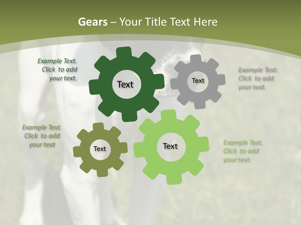 Puppy Of Pointer (Hunter Dog) With Funny Look PowerPoint Template