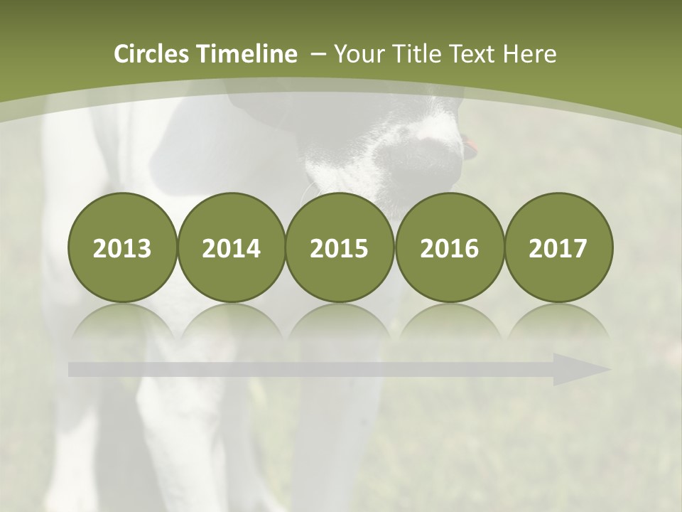 Puppy Of Pointer (Hunter Dog) With Funny Look PowerPoint Template