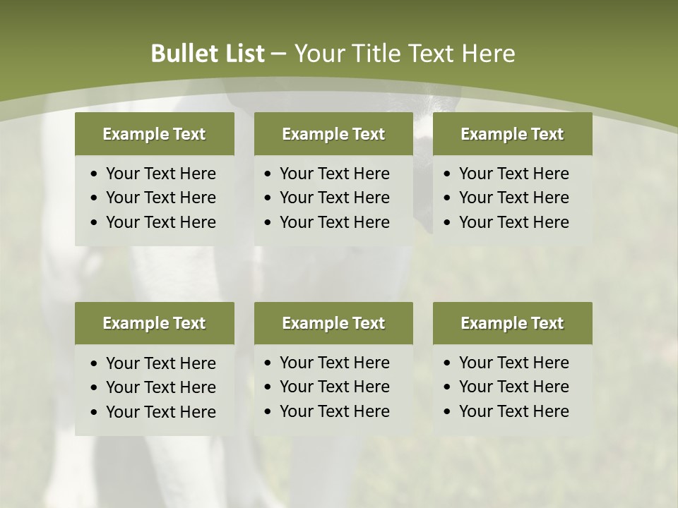 Puppy Of Pointer (Hunter Dog) With Funny Look PowerPoint Template