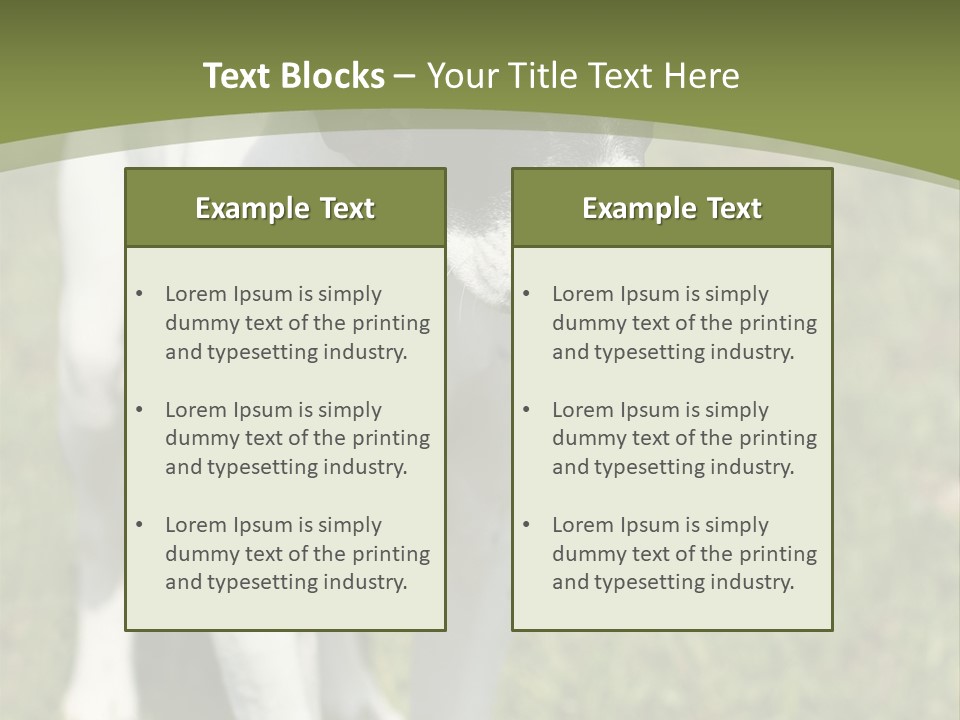 Puppy Of Pointer (Hunter Dog) With Funny Look PowerPoint Template