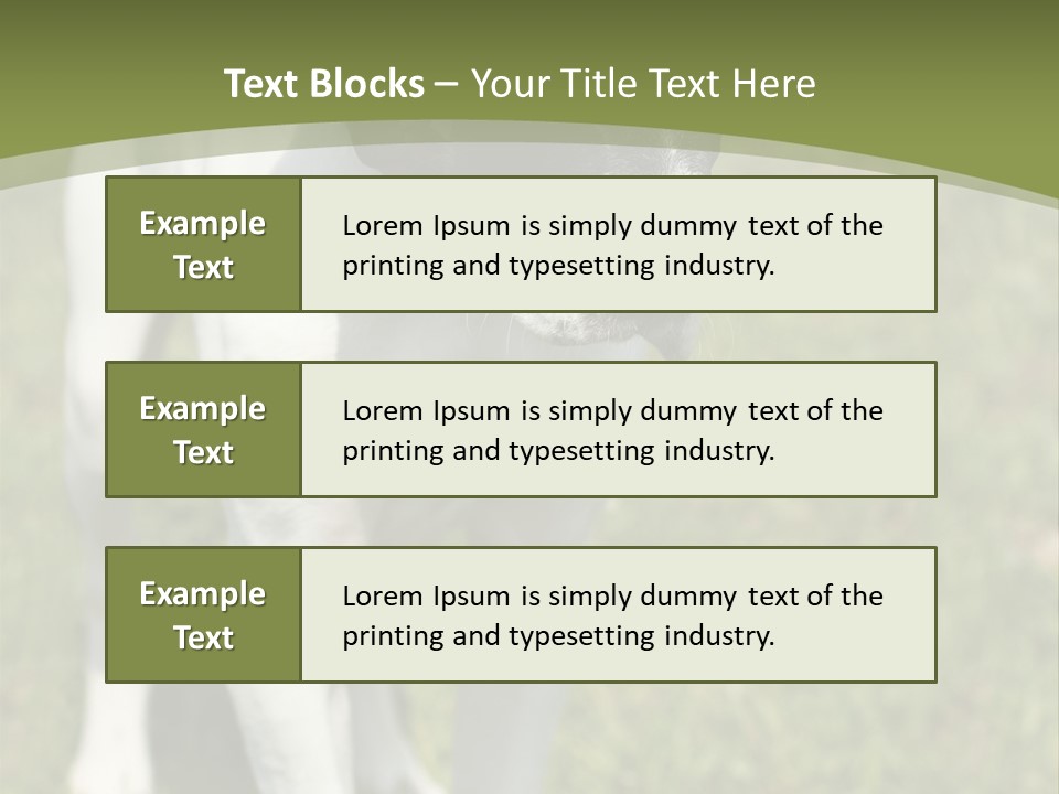 Puppy Of Pointer (Hunter Dog) With Funny Look PowerPoint Template