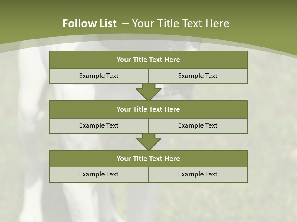 Puppy Of Pointer (Hunter Dog) With Funny Look PowerPoint Template